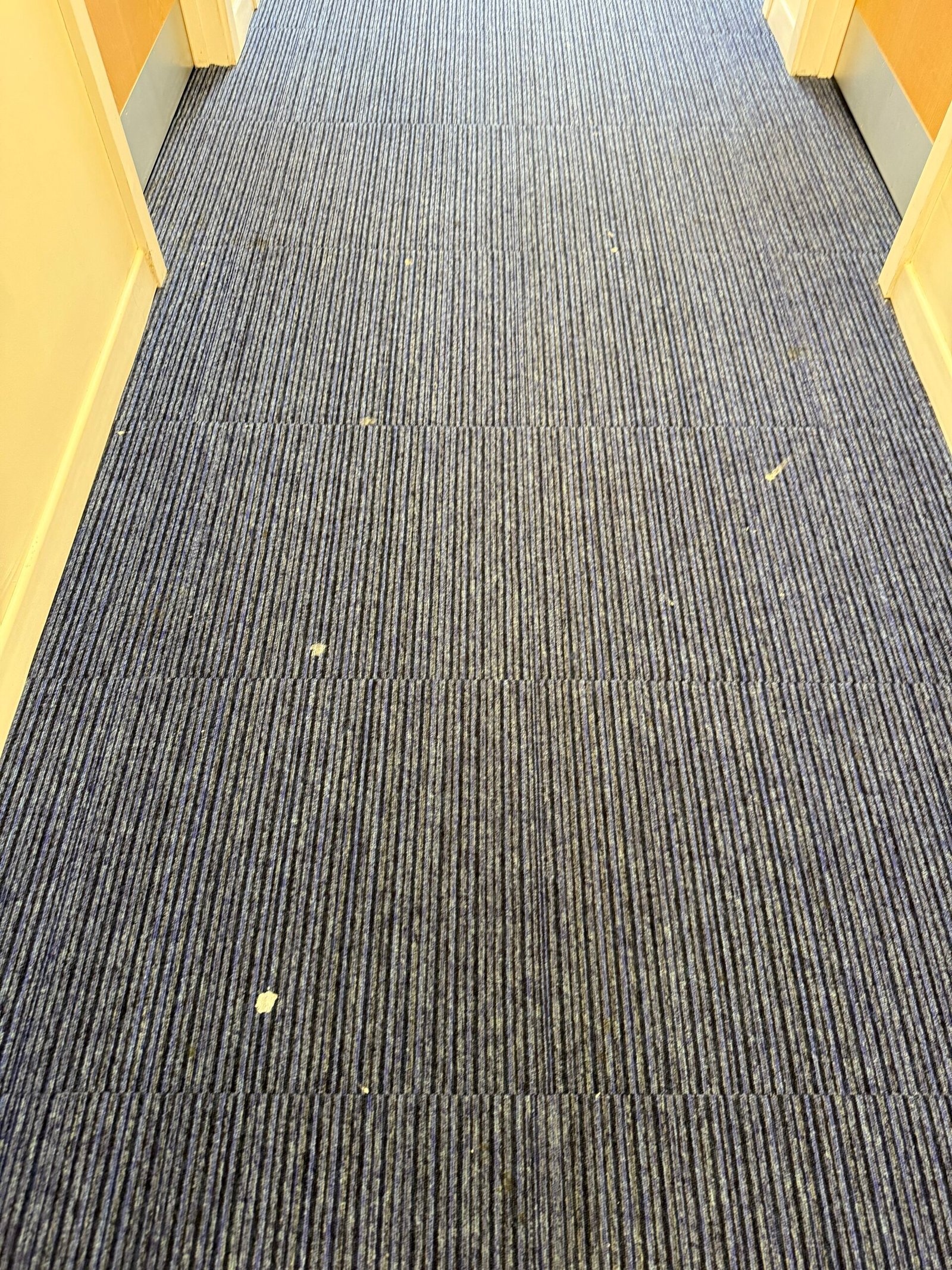 Paint staining on carpet