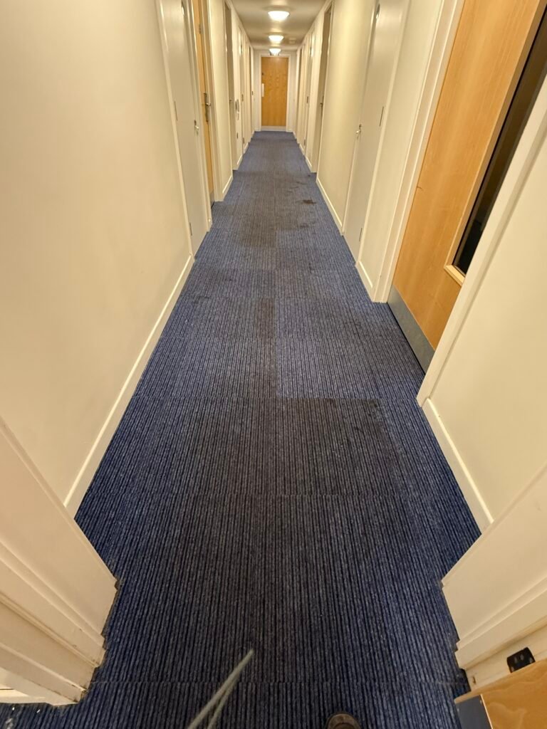 Heavily soiled carpet at student accommodation