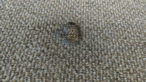 Burn on Carpet
