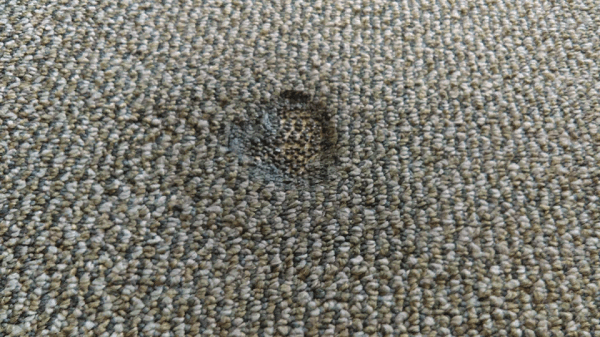 Burn on Carpet