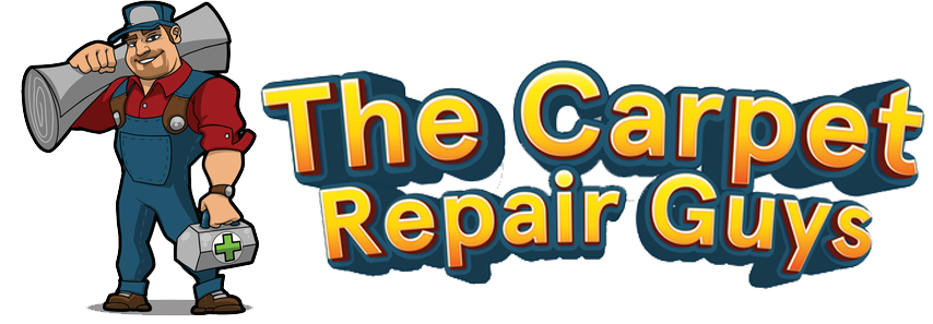 Carpet Repair Training