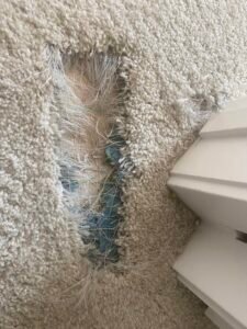 Hole in Carpet