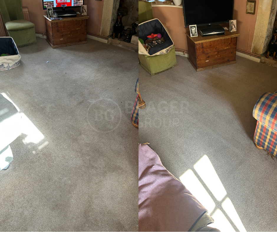 BA_DogUrine Pet stain carpet cleaning